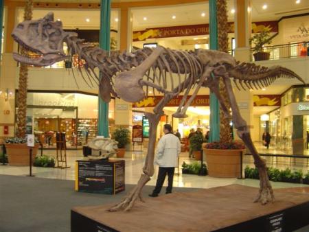 CARNOTAURUS