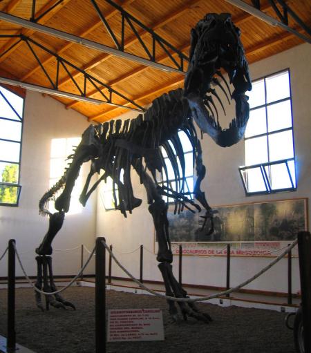 GIGANOTAUSAURUS