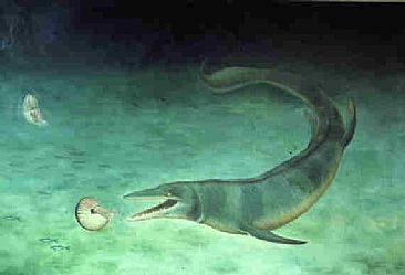 MOSASAURUS MAXIMUS