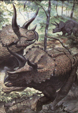 Tricératops