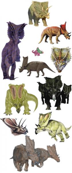 Chasmosaurus